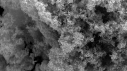 Platinum powder 2